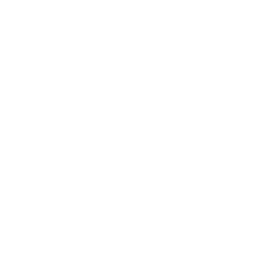 The Tattoo Boy Logo