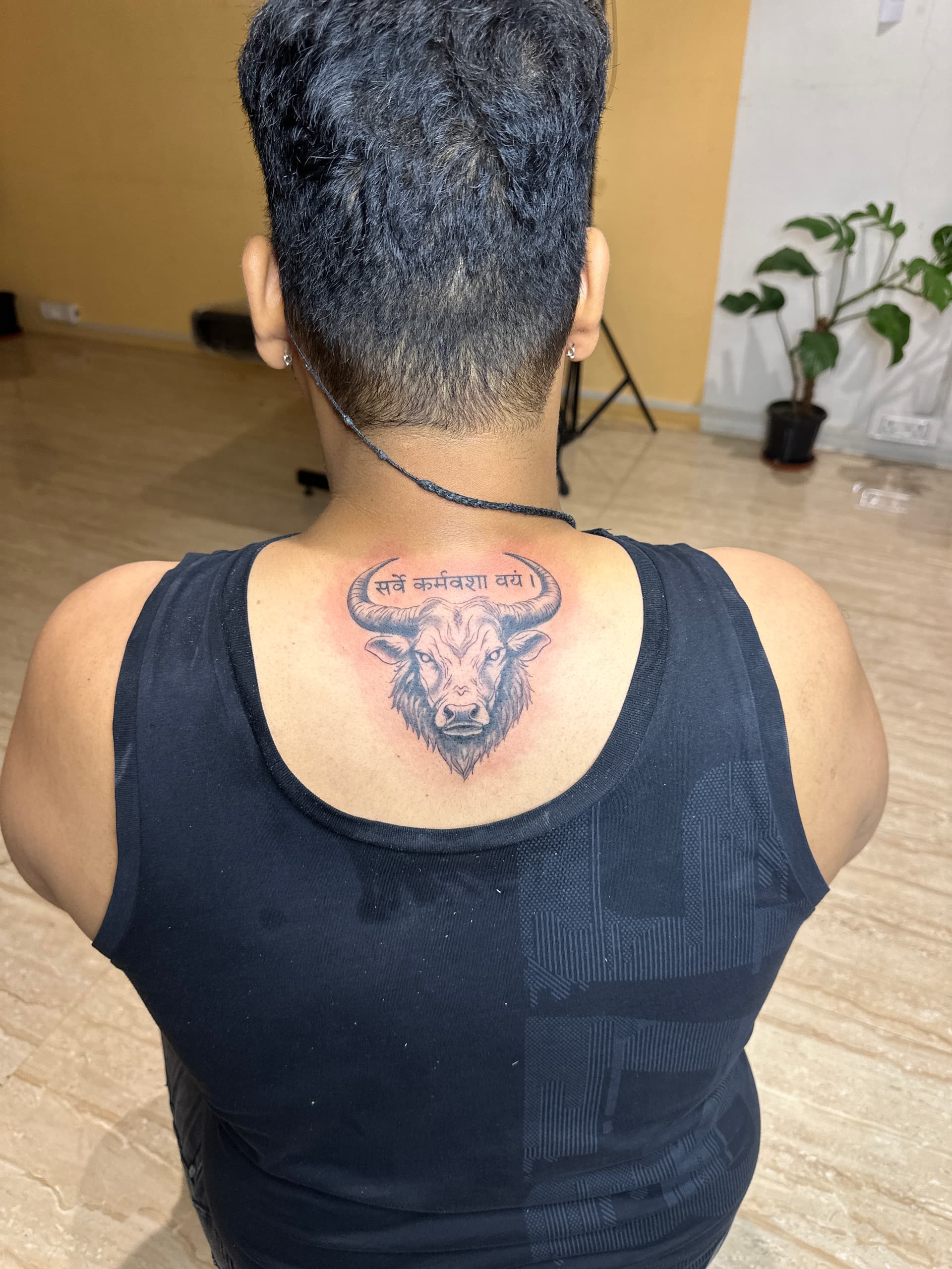 animals artwork