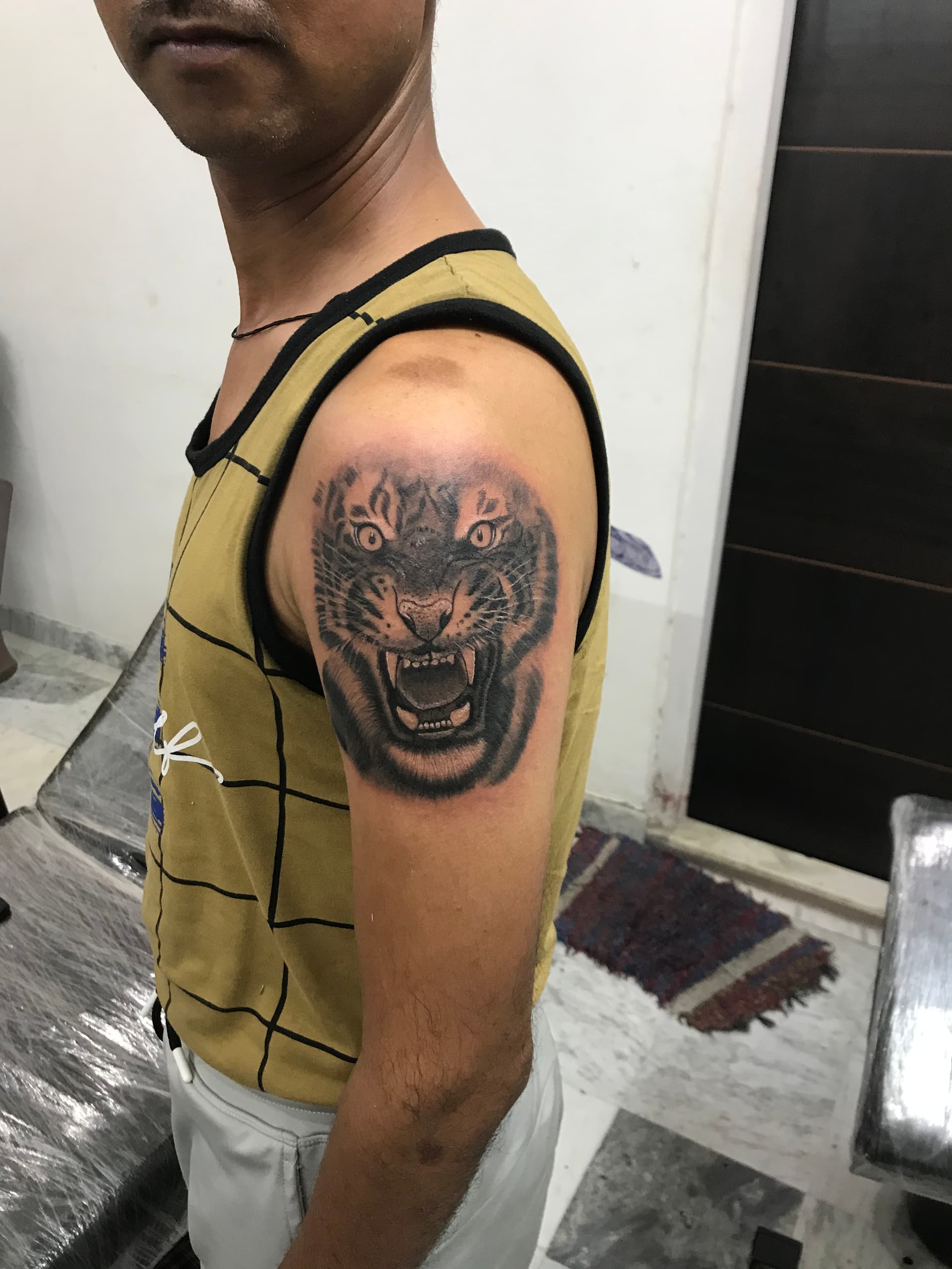 animals artwork