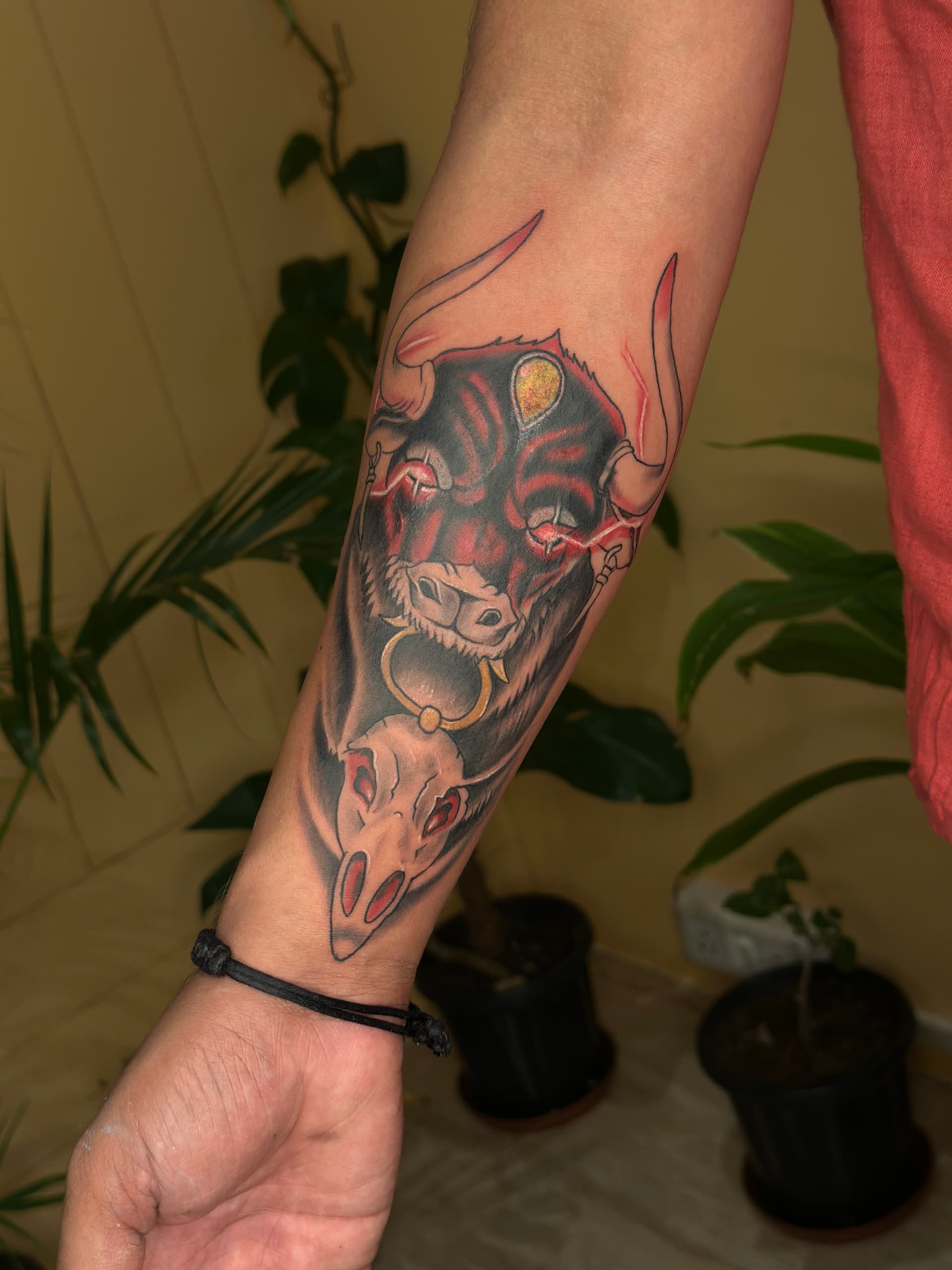animals artwork