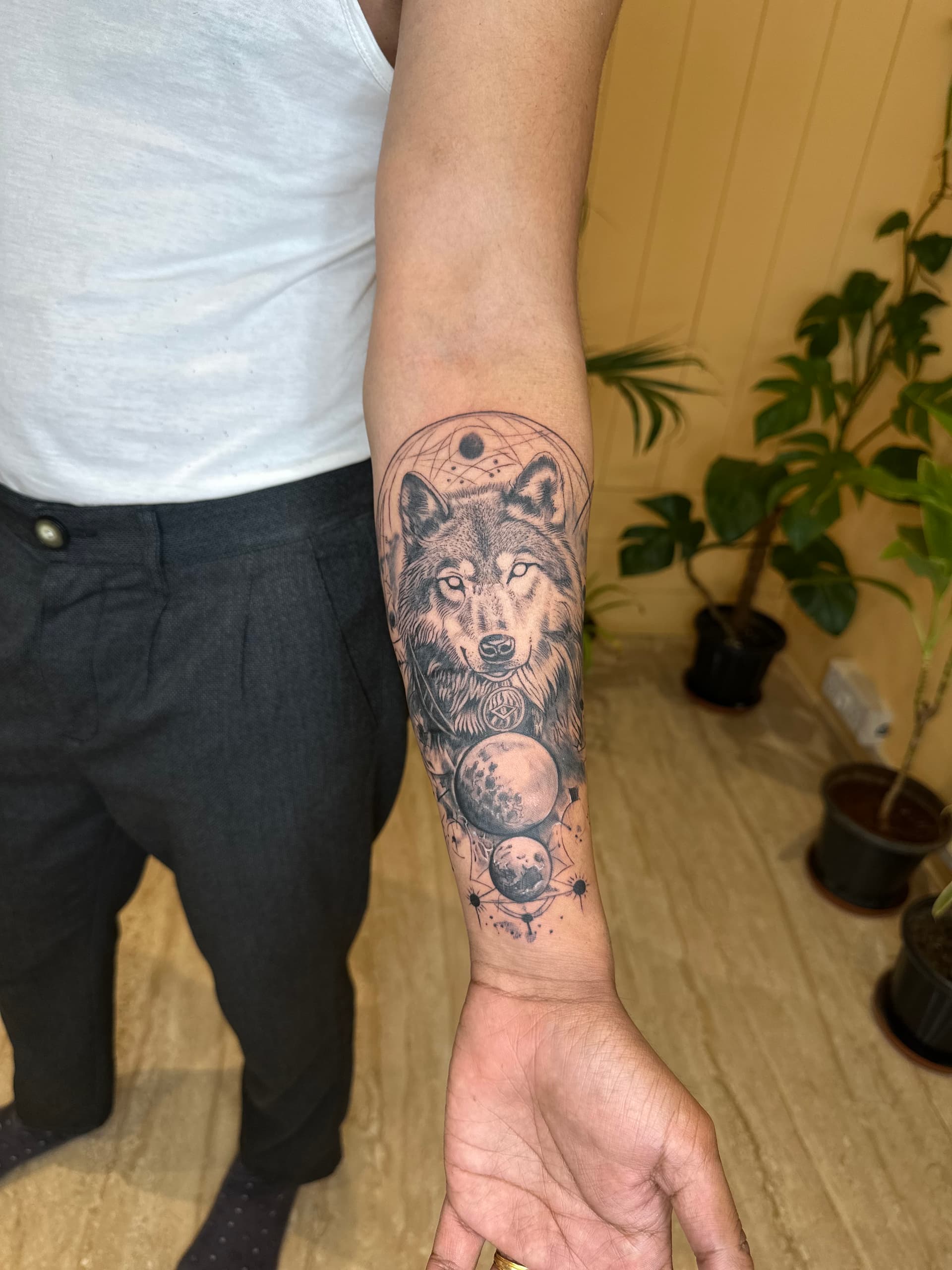 animals artwork