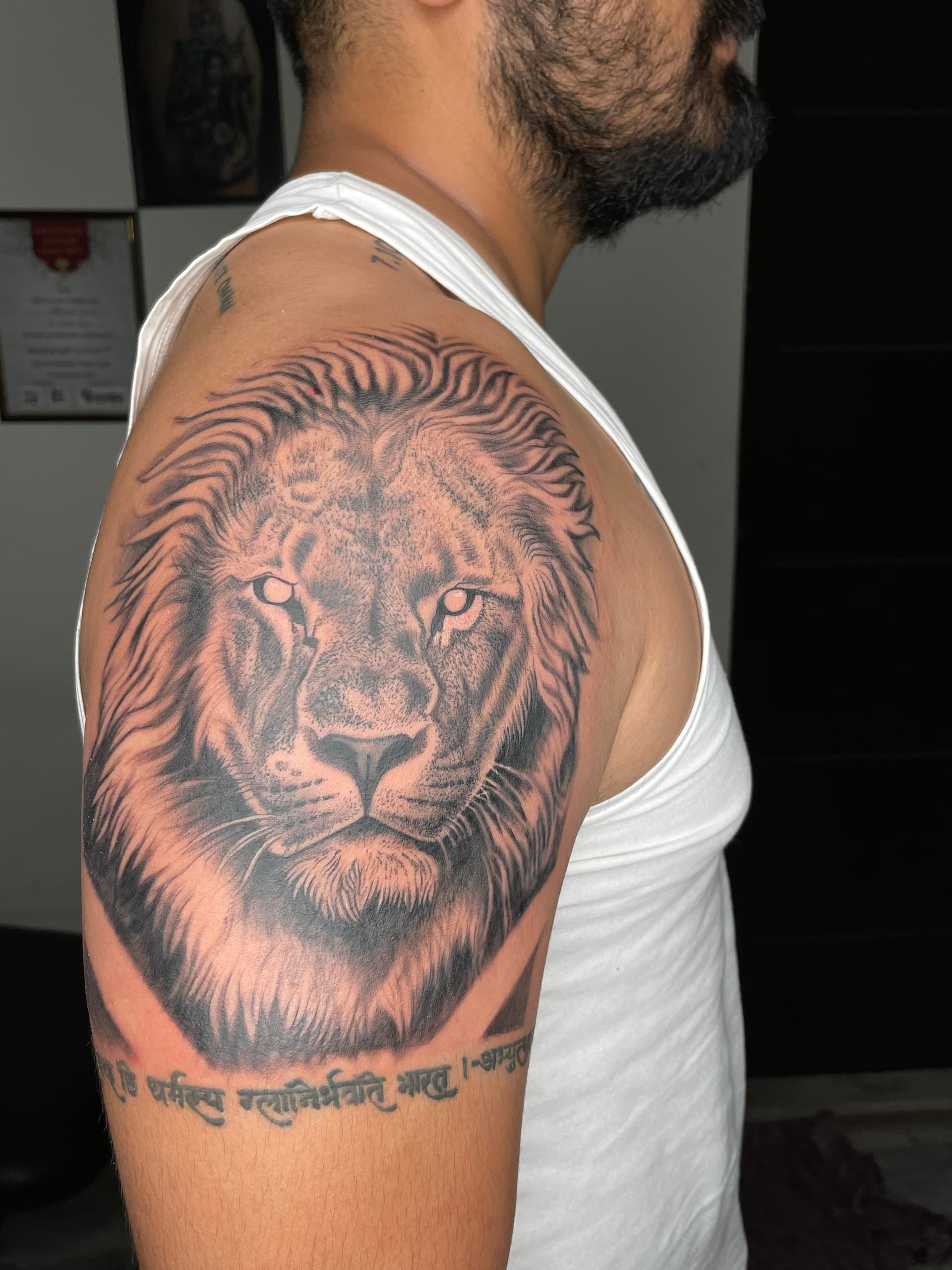 animals artwork