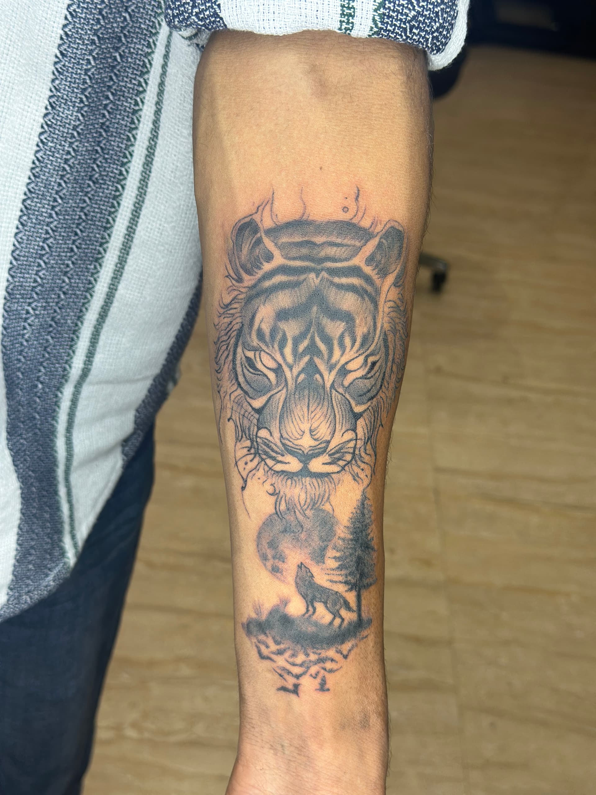 animals artwork