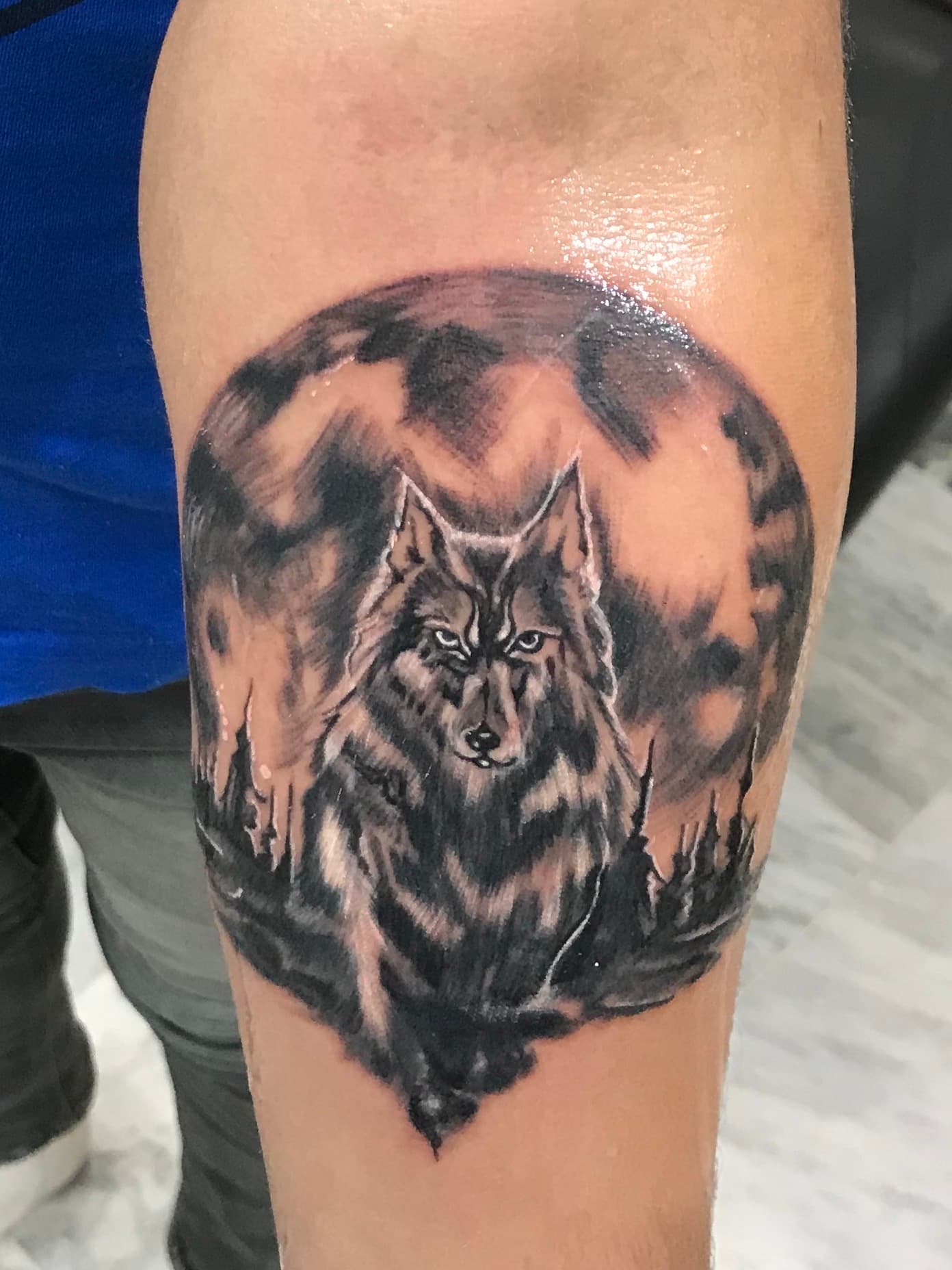 animals artwork