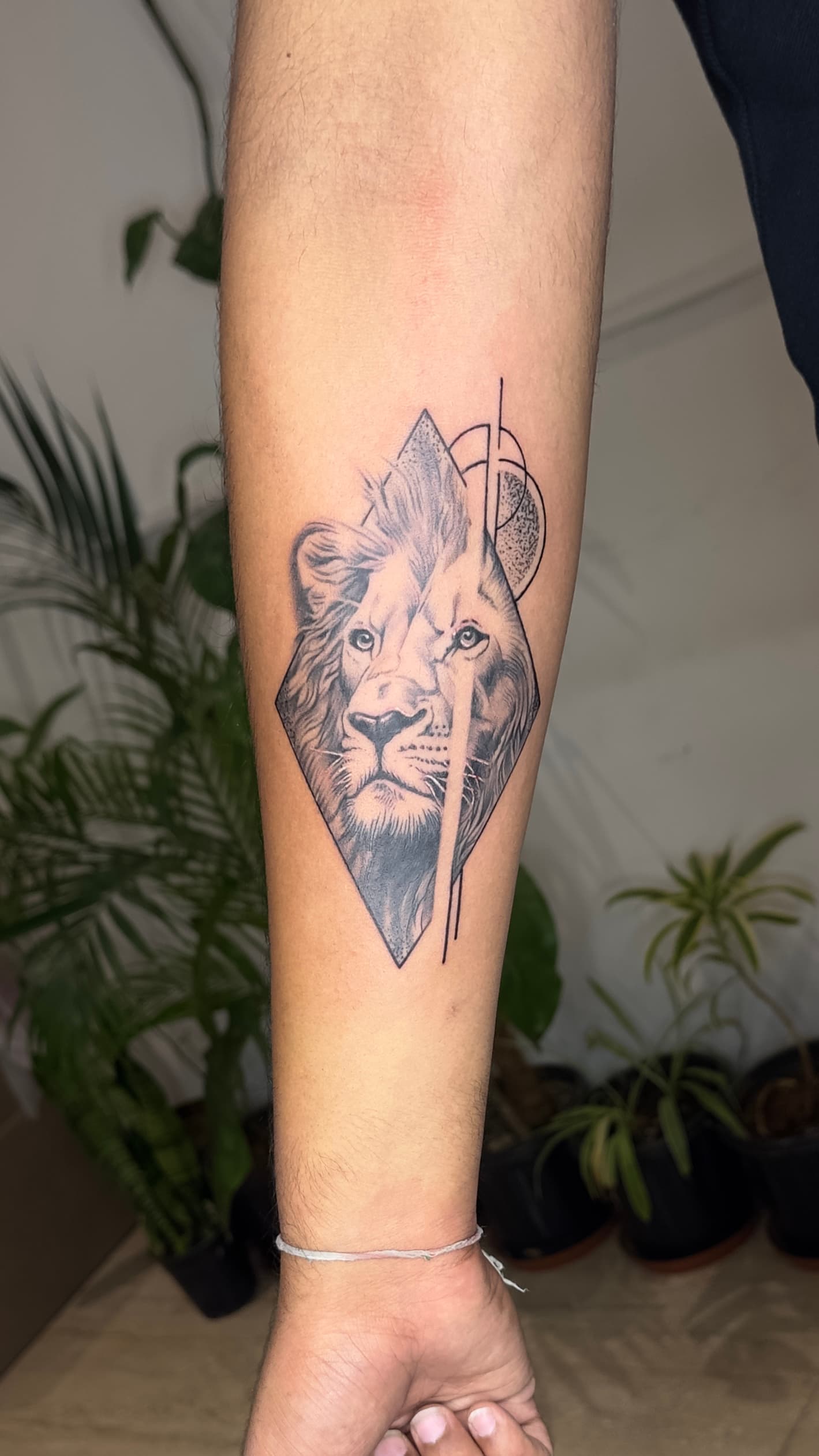 animals artwork